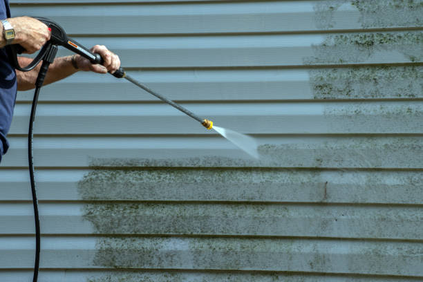 Best Pressure Washing Contractors  in Dayton, TX